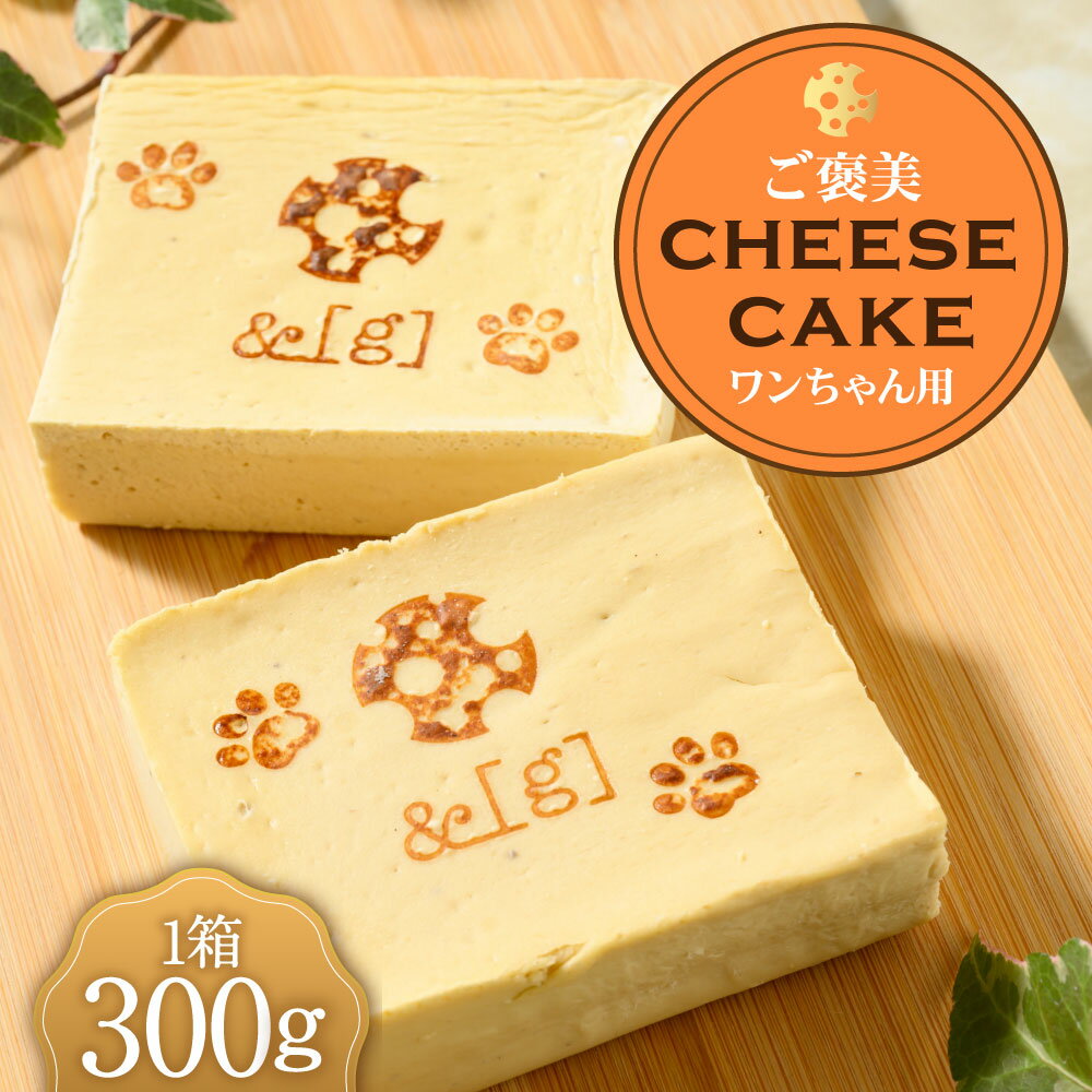 【ふるさと納税】ワンちゃん用！ご褒美 cheese cake | 300g 1箱 オーストラリア産チーズ 犬用 ドッグフード ペットフード おやつ わんちゃん 愛犬 スイーツ デザート お菓子 プレゼント お祝い 誕生日 冷凍 茨城県 守谷市 送料無料