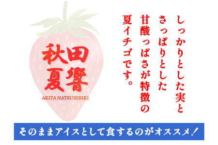 秋田夏響 冷凍 1kg 夏イチゴ いちご 苺 なつひびき