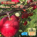 【ふるさと納税】【8月～9月クール便発送】toki farm 家庭用 つがる 約3kg 訳あり【弘前市産・青森りんご】　【果物類・林檎・りんご・リンゴ】　お届け：2024年8月20日～2024年9月30日
