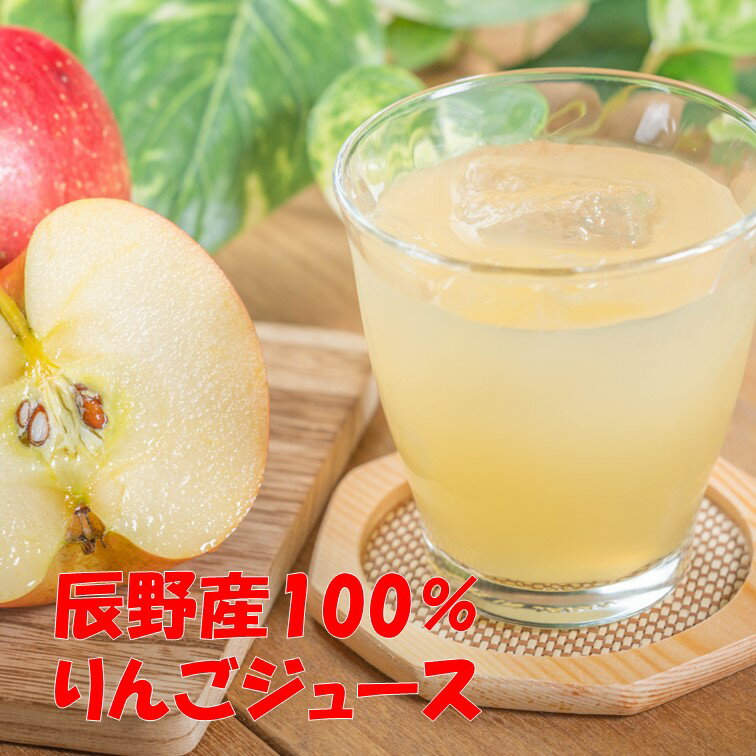 【ふるさと納税】016 辰野産 100% りんご ジュース　長野県
