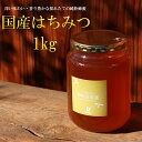 【ふるさと納税】E-28 国産はちみつ1000g