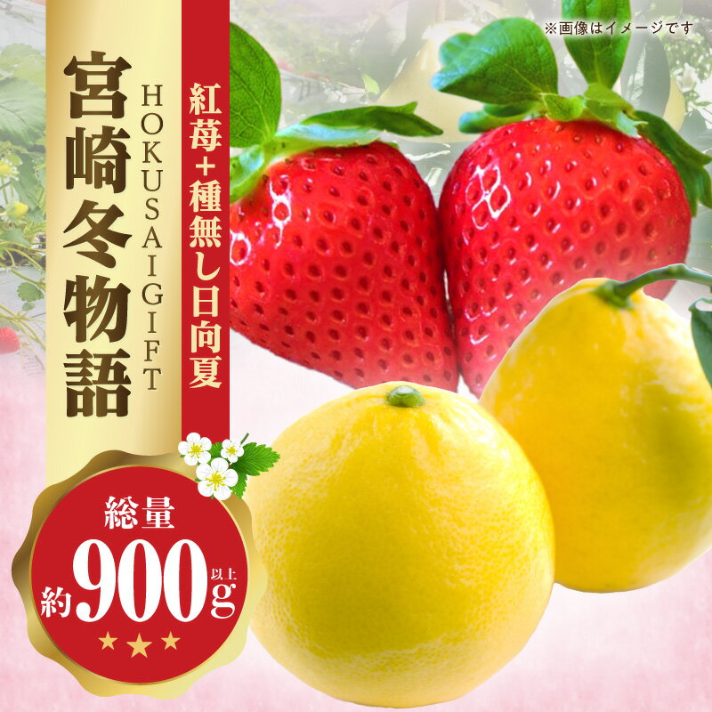 【ふるさと納税】《2026年発送》【数量・期間限定】宮崎冬物語HOKUSAIGIFT紅苺＋種無し日向夏 完熟赤いちご おおきみ 完熟いちご 完熟 赤いちご いちご 日向夏 種無し 種無し日向夏 フルーツ 果物 セット 食べ比べ 化粧箱入り 箱 箱入り 贈答用 ギフト 贈り物 プレゼント