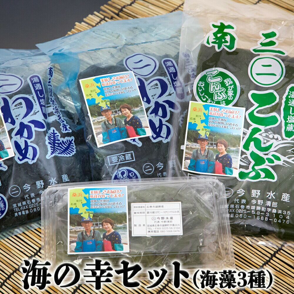 【ふるさと納税】今野水産の海の幸（わかめ・こんぶ）セット 塩蔵 茎わかめ 宮城 塩蔵わかめ 塩蔵こんぶ 昆布