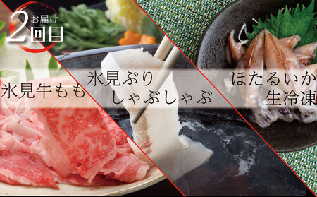 【３ヶ月定期便】美味の町・富山からお届けする！いいもの厳選３ヶ月コース 富山県 氷見市 定期便 魚 肉 惣菜 加工品 セット