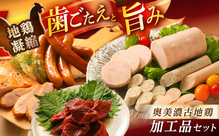 奥美濃古地鶏Bセット【スピード配送】/ 恵那市 / 中部食産 [AUBW006]