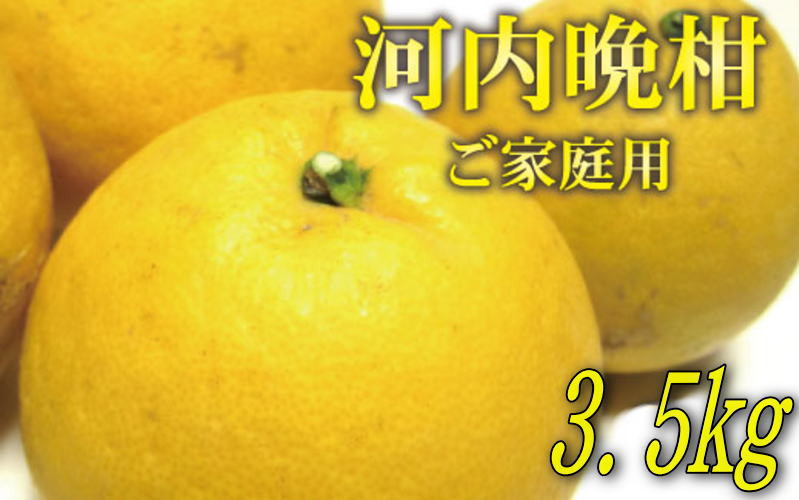 
【2023年4月発送】【和製グレープフルーツ】有田育ちの河内晩柑(ご家庭用)　約3.5kg
