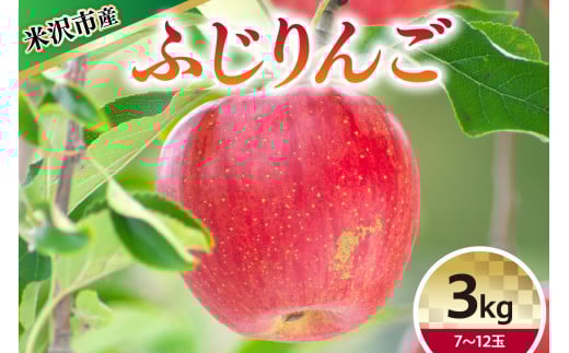 【 令和7年産 】 ふじ （ りんご ） 3kg 7～12玉 〔 12月上旬～お届け 〕 2025年産