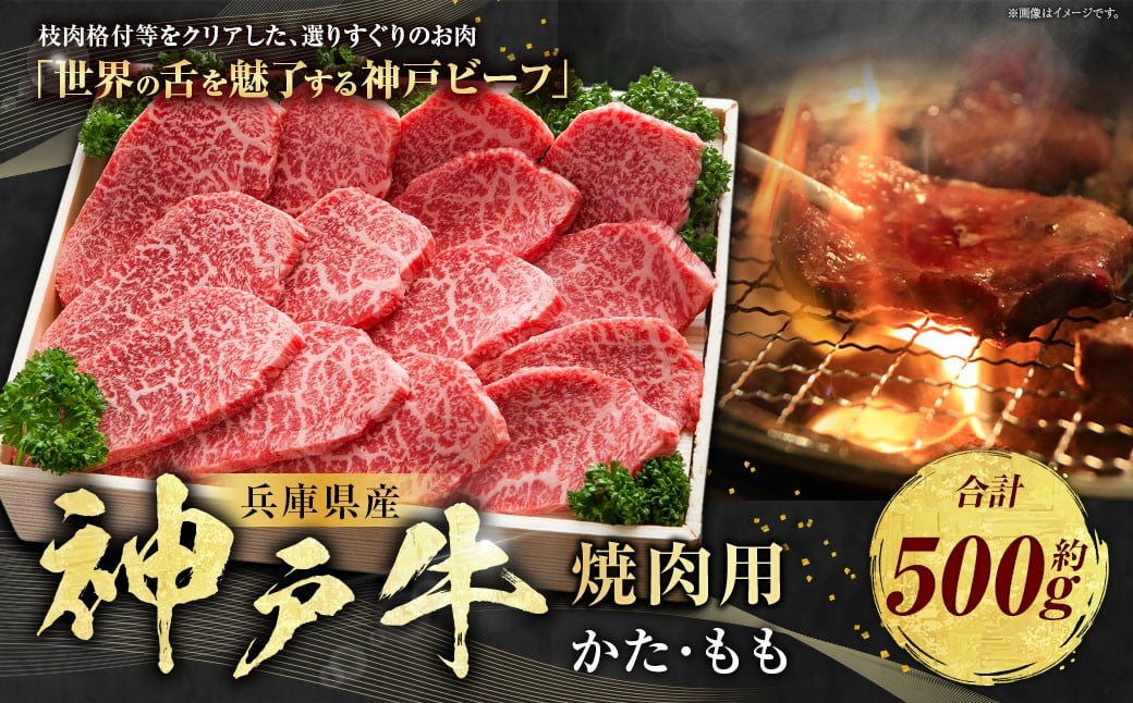 
            神戸牛 焼肉用 かた・もも 約500g AKY2 牛肉 肉 牛 焼肉 神戸ビーフ 冷凍 兵庫県 赤穂市
          
