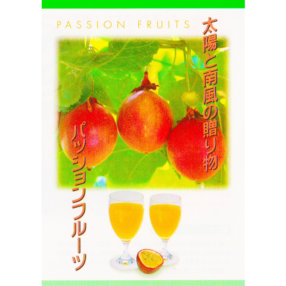 熊本産 パッションフルーツ 1kg前後