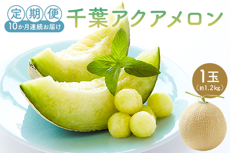 【定期便】千葉アクアメロン1玉（1.2Kg）【10ヶ月連続お届け】 mi0018-0007
