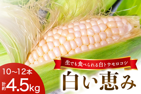 [先行予約] 生でも食べられる白いトウモロコシ「白い恵み」10本から12本／約4,5kg｜トウモロコシ 白トウモロコシ とうもろこし 白い恵み 野菜 フルーツ スイーツ 糖度 栃木県産 日光産 期間限定 数量限定 夏 風物詩 [0720]