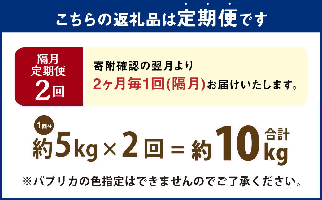 【隔月2回定期便】 大分県 九重町産 温泉パプリカ 計約10kg（約5kg×2回）