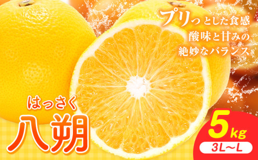 【先行予約】八朔 約5kg（3L～L）JAわかやま 紀の里地域本部《2027年1月上旬-4月中旬に出荷予定(土日祝除く)》和歌山県 岩出市 産地直送 みかん 八朔 柑橘 果物 フルーツ ビタミンC たっぷり