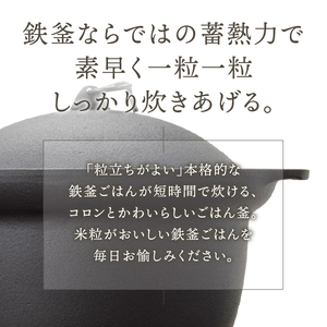 南部鉄器 南部ごはん釜2合炊 [Z0045]
