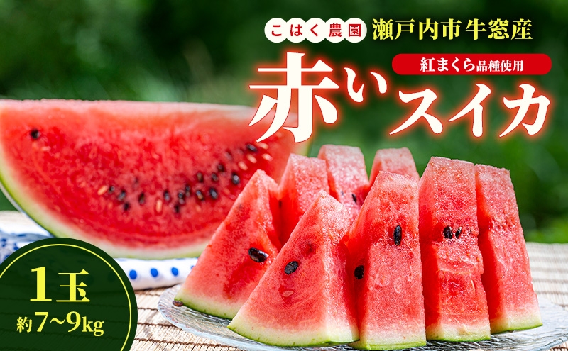 
                  こはく農園 瀬戸内市牛窓産 赤いスイカ【紅まくら品種使用】1玉(約7～9kg) スイカ 西瓜 フルーツ 国産 岡山 瀬戸内市
                