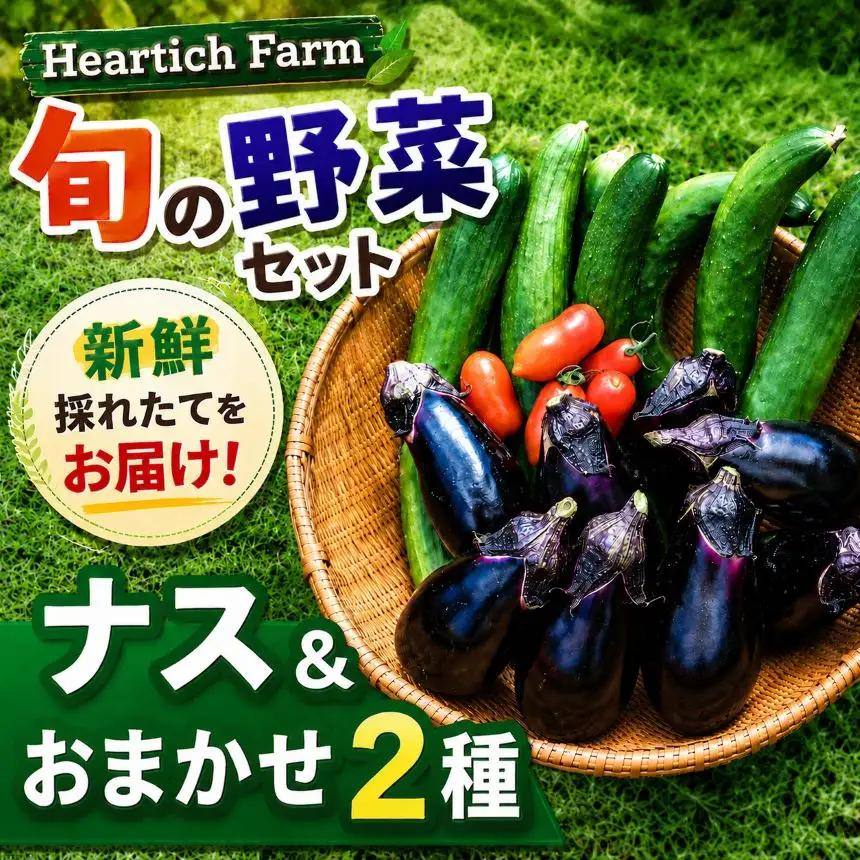 野菜 ナス Heartich Farm旬の野菜セット（おまかせ3種）