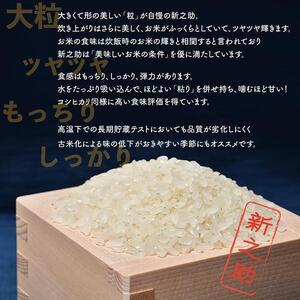 【3か月定期便】佐渡島産新之助 白米10Kg 令和6年産