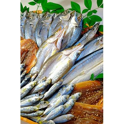 ふるさと納税 新宮市 熊野特産旬のひもの詰合せ |  | 01