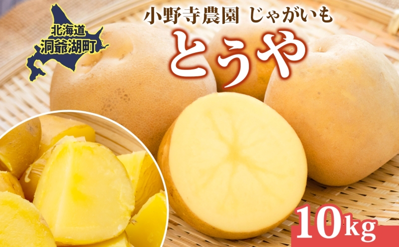 じゃがいも とうや 10kg 10月初旬～12月中旬ごろお届け ホクホク 甘い ポテトサラダ コロッケ 産地直送 お取り寄せ 国産 小野寺農園 北海道 洞爺湖町