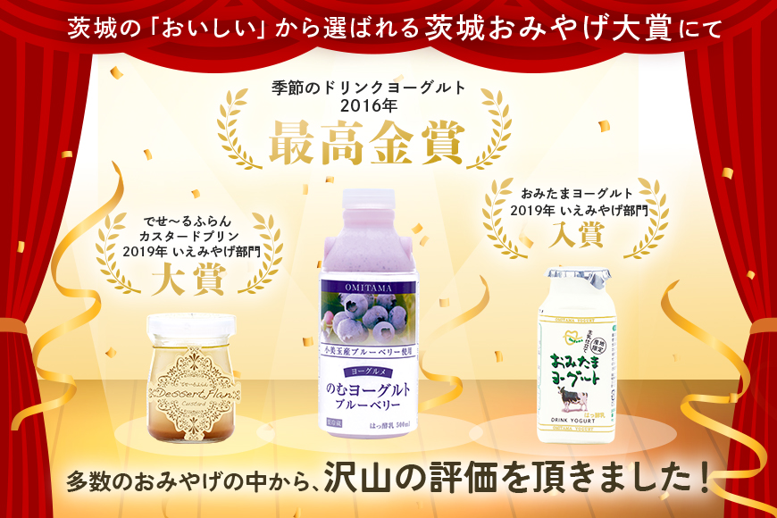 【2回定期便】 おみたまドリンクヨーグルトセット 500ml×6本×2回 1-I