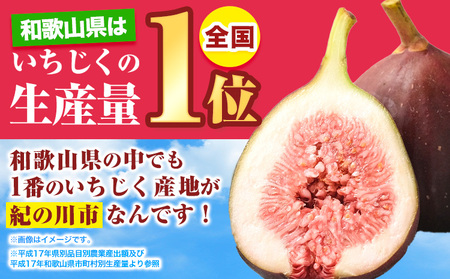 いちじく お試し 約600g