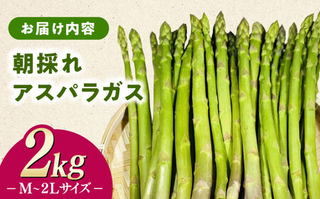 【3月中旬以降順次発送】朝採れアスパラガス2kg [WCT002] アスパラガス アスパラ  野菜 アスパラガス アスパラ