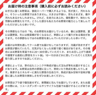 【12回定期便】かたもとオーガニックファームの農業研修生が無農薬・自然栽培で育てたお野菜セット 8～10品目 ≪産地直送 朝採れ 新鮮 京野菜 京都府 亀岡産 ≫