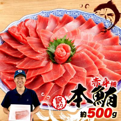 ふるさと納税 藤枝市 【訳あり】本鮪 赤身　500g