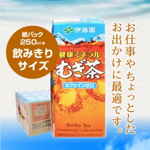 健康ミネラルむぎ茶　250ml　24本　伊藤園　紙パック  麦茶 カフェインゼロ 1ケース24本 ドリンク 配達 仕送りギフト 防災 7000 10000円以下 1万円以下 [h132]