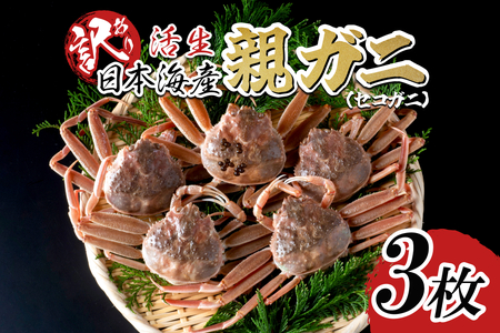 【先行予約】【活生】訳あり ご自宅用親ガニ（セコガニ）3枚 2025年11月～順次発送｜鳥取 岩美 日本海 かに 松葉ガニ ズワイガニ【22066】