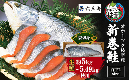 オホーツク枝幸産 ブランド新巻鮭「白王」Lサイズ（姿切身生約5kg～5.49kg）手切り加工［六三海］【 鮭 サケ 切身 姿 生 北海道 オホーツク 枝幸 】