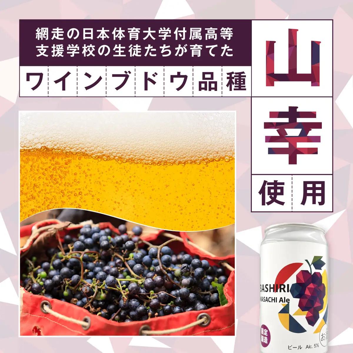 【先行予約】網走ビール（数量限定）ABASHIRI Yamasachi Ale 24本セット（2026年4月24日以降発送予定） ABH077