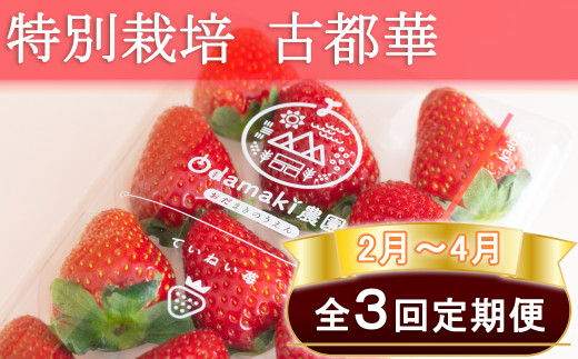 M-EB2.【2月～4月定期便】減農薬いちご「古都華」2パック 特別栽培農産物