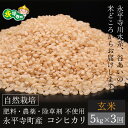 【ふるさと納税】【令和6年産 新米】【3ヶ月連続お届け】自然栽培のコシヒカリ 永平寺町市野々産 【玄米】5kgx3ヶ月（計15kg） / ご飯 ごはん 玄米　5kg　3ヶ月　定期便 無農薬 化学肥料 除草剤 不使用 福井県 永平寺