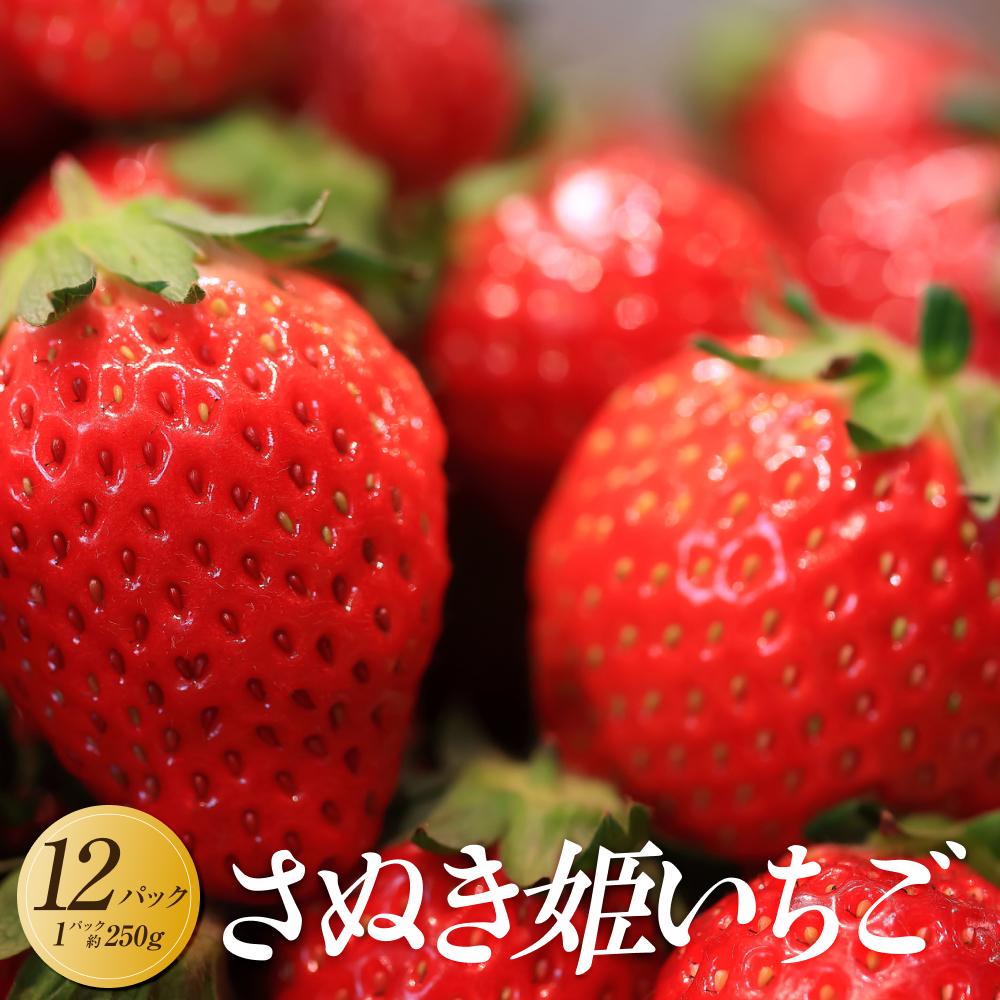 【ふるさと納税】【2027年2月上旬より順次発送】さぬき姫いちご　12パック(1パック約250g)｜果物 くだもの フルーツ イチゴ いちご 苺 さぬきひめ 先行予約 人気 おすすめ ギフト | フルーツ 果物 くだもの 食品 人気 おすすめ 送料無料