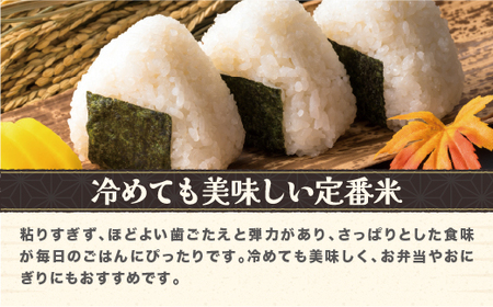 令和7年産 無洗米 はえぬき 2kg kg-hamxa2