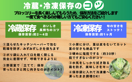 ブロッコリー 2kg 朝採れ 当日 発送 新鮮 採れたて 産地直送 農家直送  国産 野菜 シャキシャキ 食感 茎 まで 甘い 栄養満点 ご家庭用 サラダ スープ お弁当 彩り野菜 旬 の 味覚 離乳