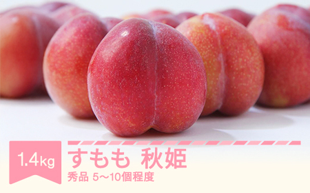 【先行予約】すもも 秋姫 果物 秀品 約1.4㎏ (5~10個程度) 2026年産 sb-plahx1400