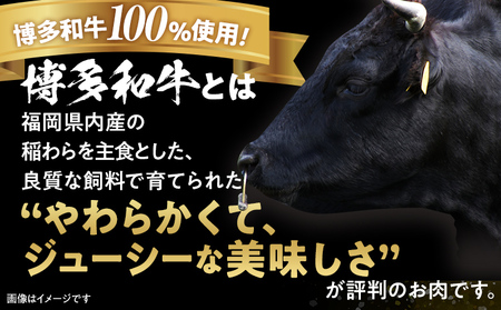 博多和牛生ハンバーグ140g×5個 おすすめ 福岡県 大木町 博多和牛 生ハンバーグ ハンバーグ 肉汁 CM001