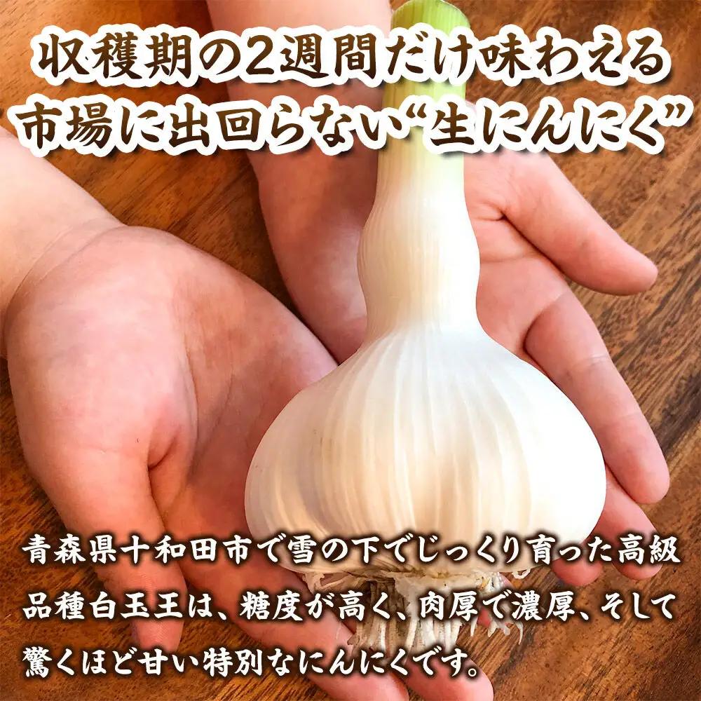 先行受付【テレビ紹介】青森 幻の生にんにく15玉（農家直送・収穫期だけの限定品） 青森にんにくファーム