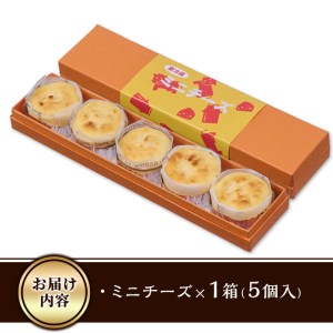 ＜お試し用＞濃厚チーズケーキ (計5個) チーズケーキ チーズ スイーツ 冷凍 お菓子 おやつ 焼き菓子 お取り寄せ 大分県 佐伯市【AJ74】【(有)ケーキ大使館クアンカ・ド－ネ】