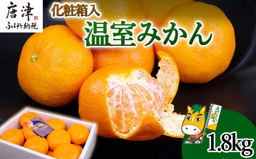 『先行予約』【6月下旬発送予定】唐津産 温室みかん 1.8kg 化粧箱 ハウスみかん ミカン 果物 フルーツ ギフト