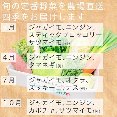 ふるさと納税 掛川市 有機野菜でカレーを作ろう　カレーに使える有機野菜を3〜4種類　定番野菜だからなんにでも使えます。 |  | 02
