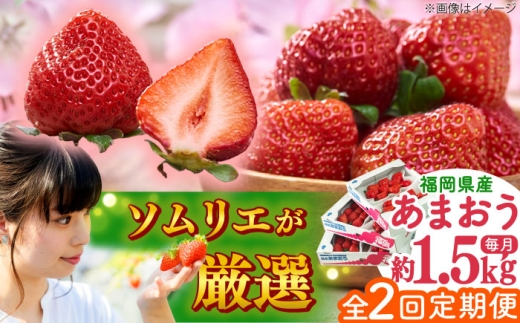 【全2回定期便】福岡産 春あまおう 250g×6パック 吉富町/南国フルーツ株式会社 [BGAG052] 果物 苺 イチゴ あまおう アマオウ 福岡 フルーツ いちご 先行予約 定期 2回