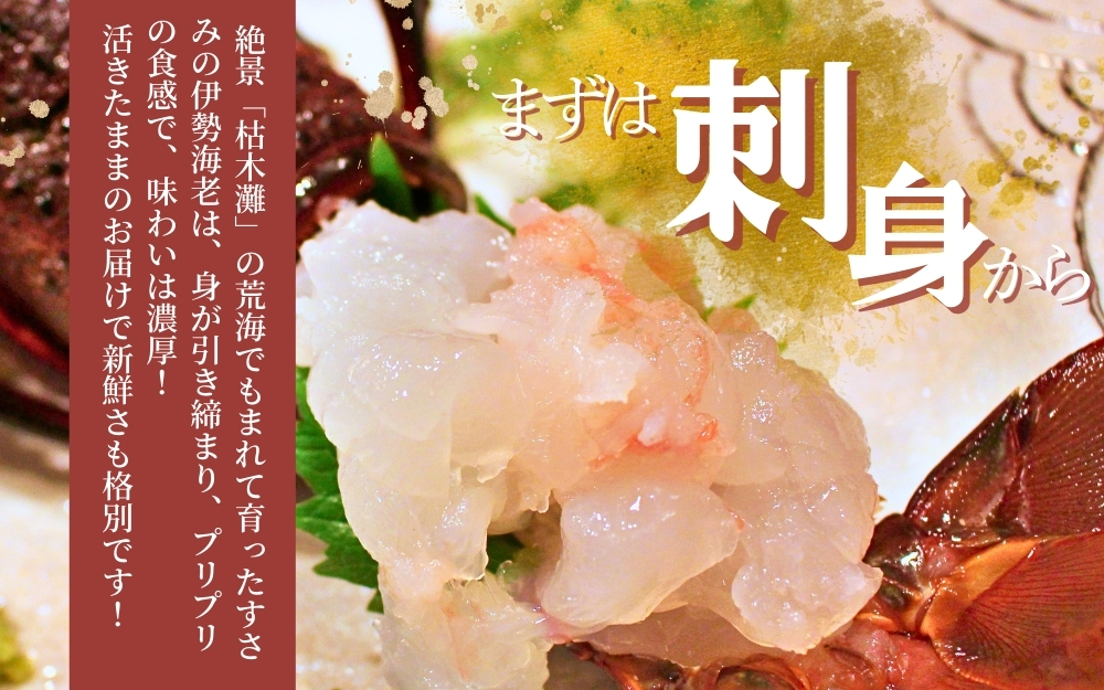 ＼期間限定・数量限定／ 南紀すさみの活き伊勢海老 約1kg(2匹)【日付指定必須】伊勢海老 伊勢エビ イセエビ 海老 えび エビ 活き 天然 すさみ町【eki109A】