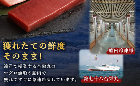 厳選天然本マグロ　大トロたっぷり５００ｇ【限定限定】 _ge013