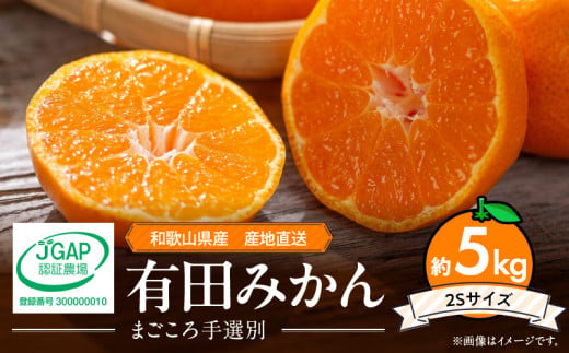ZE6052n_【2025年先行予約】和歌山県産 有田みかん 5kg 2Sサイズ【まごころ手選別】