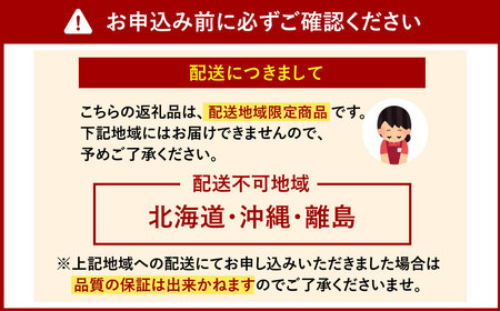 あまおう 約1140g 約285g×4パック いちごファームきらら【ふくおかエコ農産物認証】【2025年2月下旬-3月下旬発送予定】