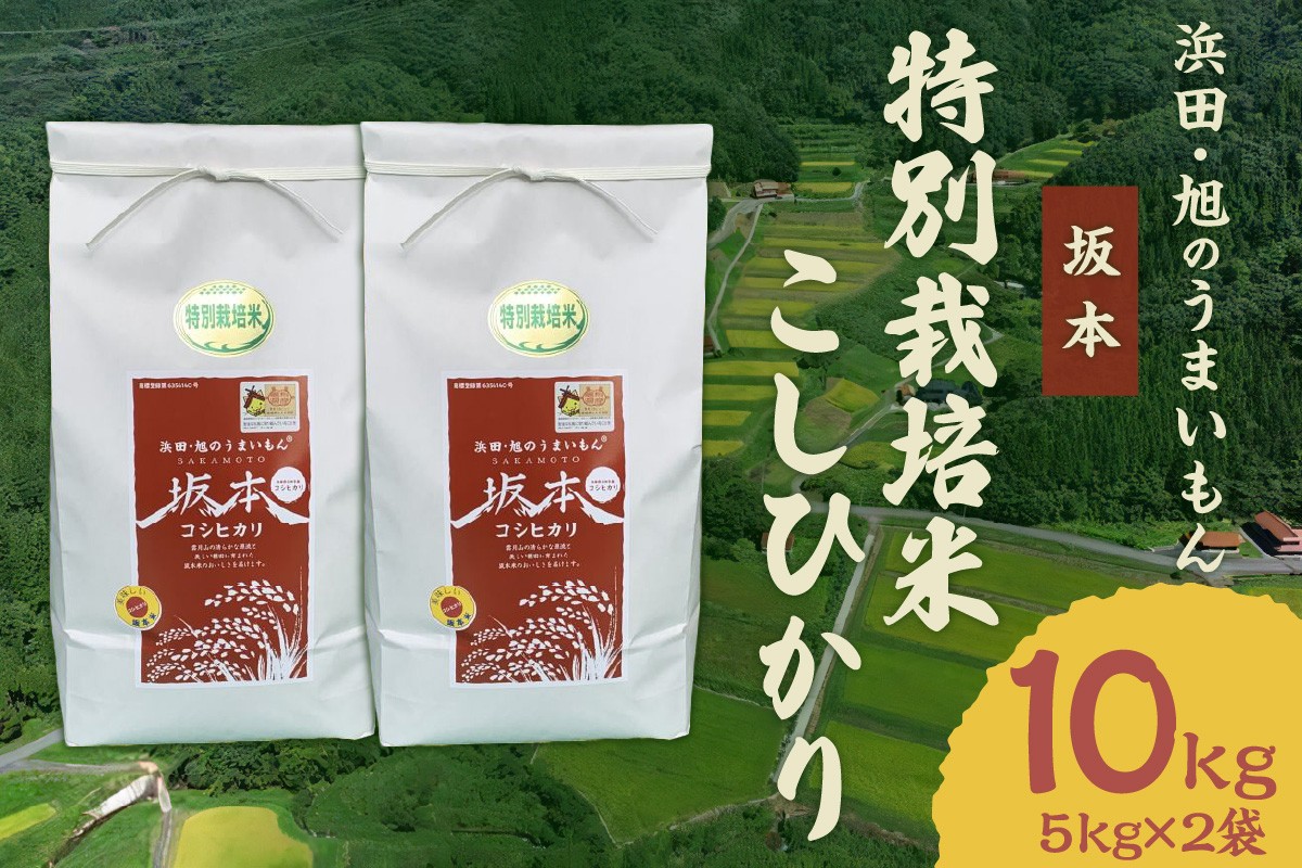 
            浜田・旭のうまいもん「坂本」特別栽培米こしひかり　5kg×2袋 【118_1194】
          