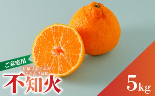 【2027年3月上旬頃から順次発送】 不知火（デコポンと同一品種） B品 家庭用 5kg | 愛媛産 愛媛県産 国産 愛媛みかん 愛媛蜜柑 愛媛ミカン みかん ミカン mikan 蜜柑 柑橘 フルーツ 果物 くだもの お取り寄せ 産地直送 数量限定 人気 おすすめ 愛媛県 松山市 送料無料